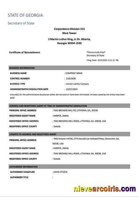 USA Georgia certificate of reinstatement, version 2